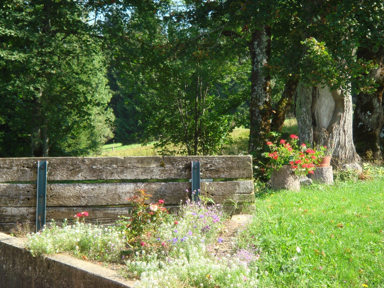 DSC01097