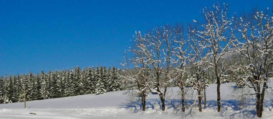 DSC_0657-945