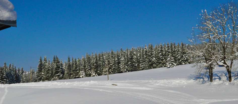 DSC_0658-945