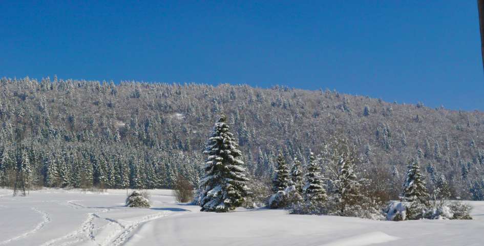 DSC_0674-945